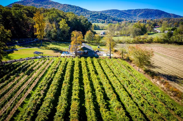 Souther Williams Vineyard