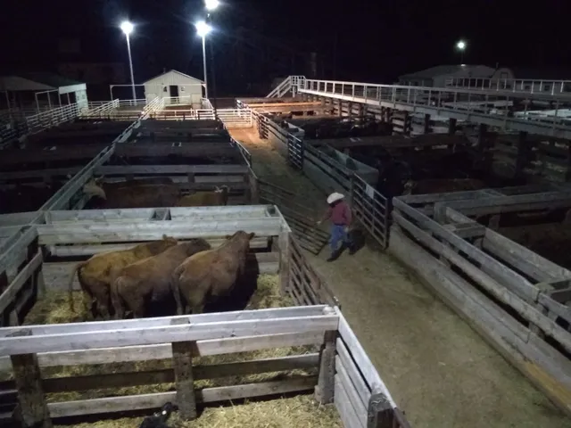 Ogallala Livestock Auction Market