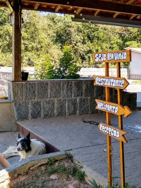 Petisco Música Sintonia