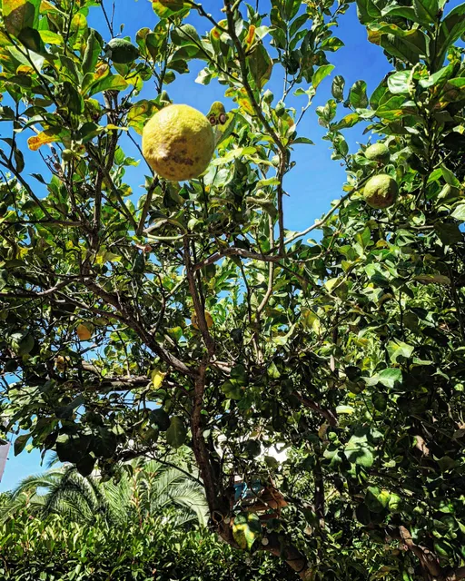La Casetta di Marika