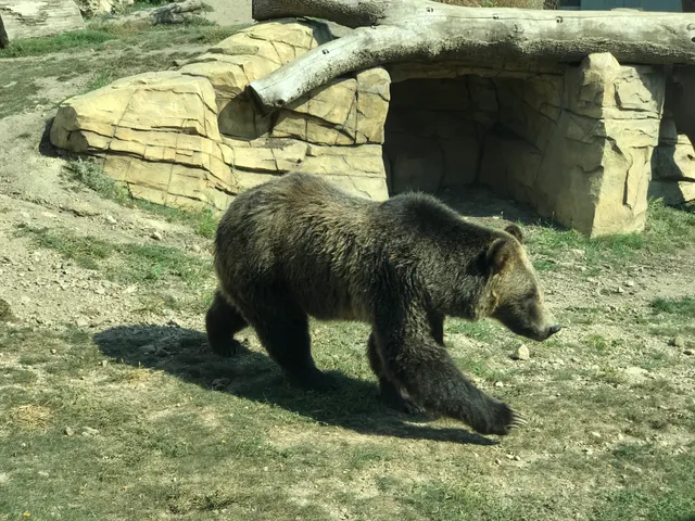 Henry Vilas Park Zoological Society