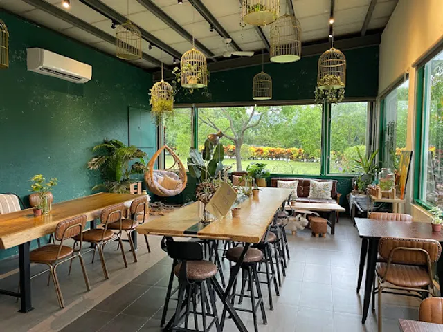 Caravan 卡騯· 異國料理 (新的lazy tree懶人樹）