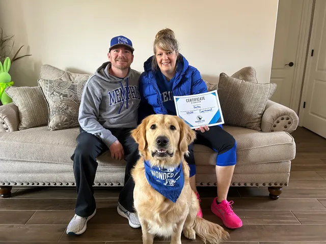 Wonder Dog Training & Games