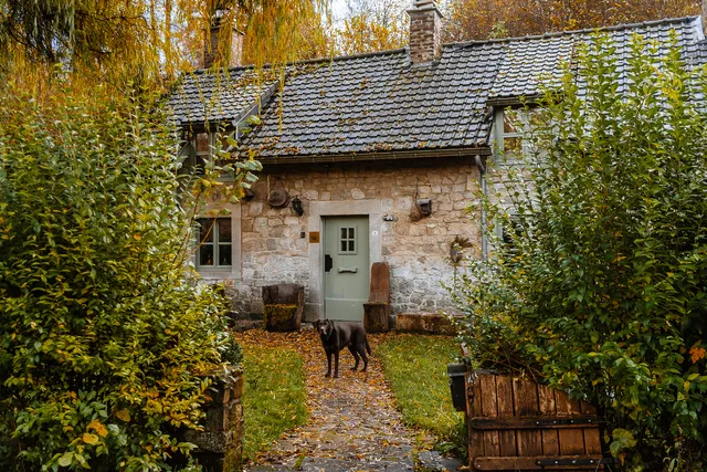 La Petite Forêt | Durbuy