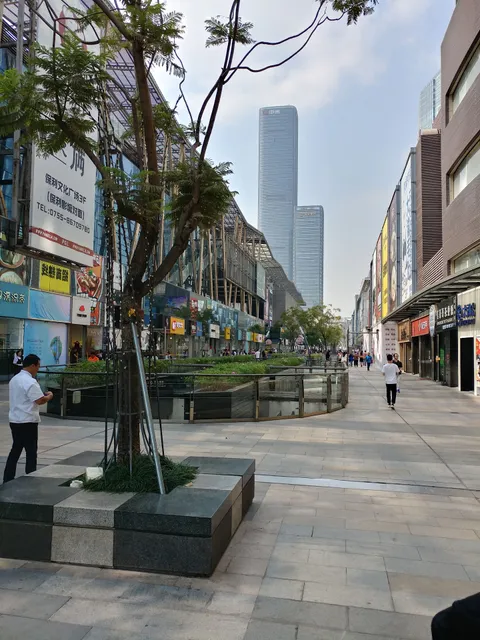 Shenzhen Wenxin Park
