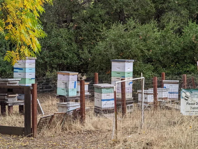 McClellan Ranch Parking Lot
