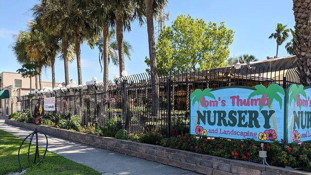 Tom's Thumb by Cornelius Nursery