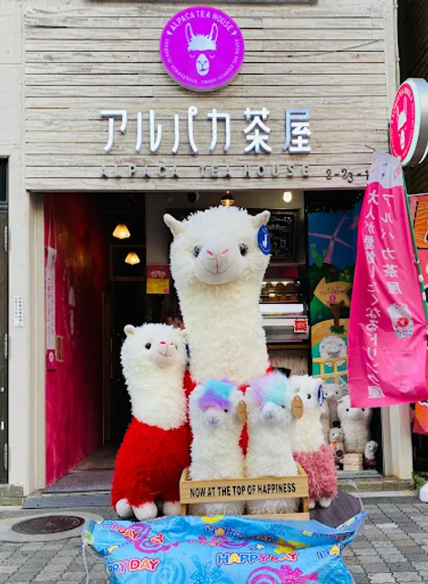 Alpaca tea house