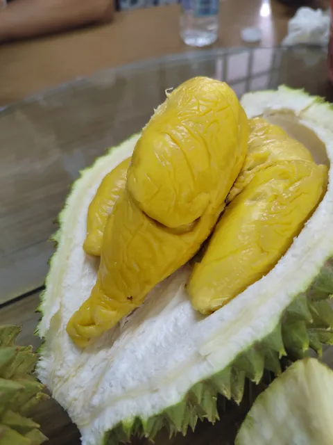 81 Durian Store By Urban Living Farmers Sdn Bhd