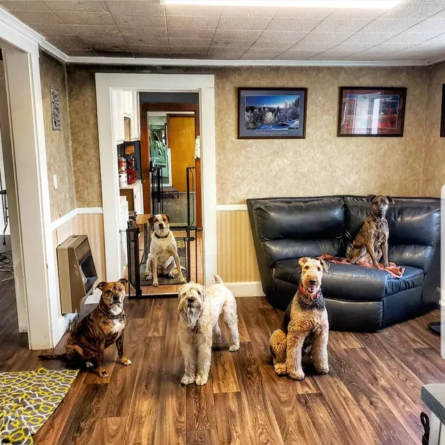 Touch of Grace Pet Spa