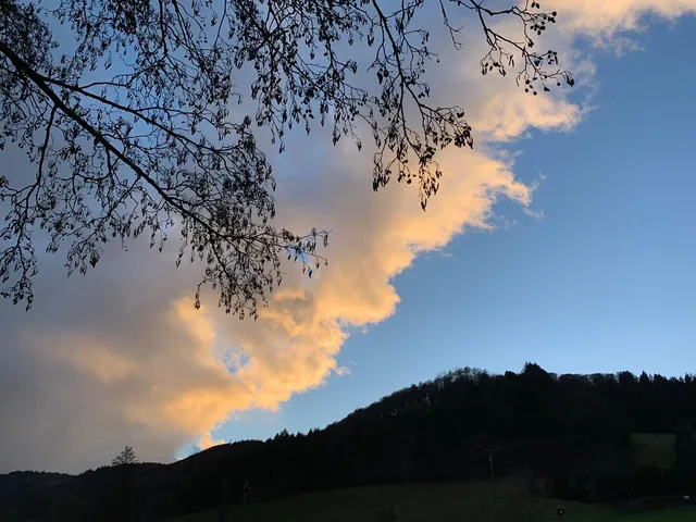 Kempfenhof - Familie Fehrenbach