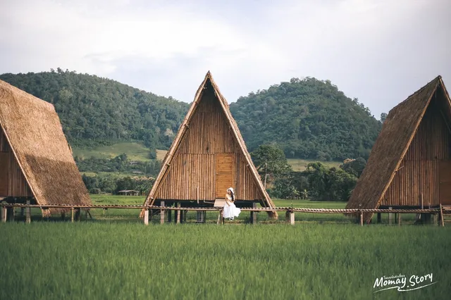 เขา เคียง นา - KHAO KIANG NA Homestay