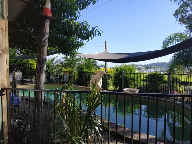 Backpackers By The Bay