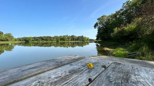 Busse Forest Main (South) Dam