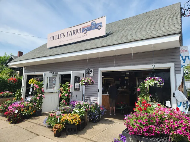 Tillie's Farm Stand