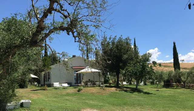 B&B Artemisia negli ulivi