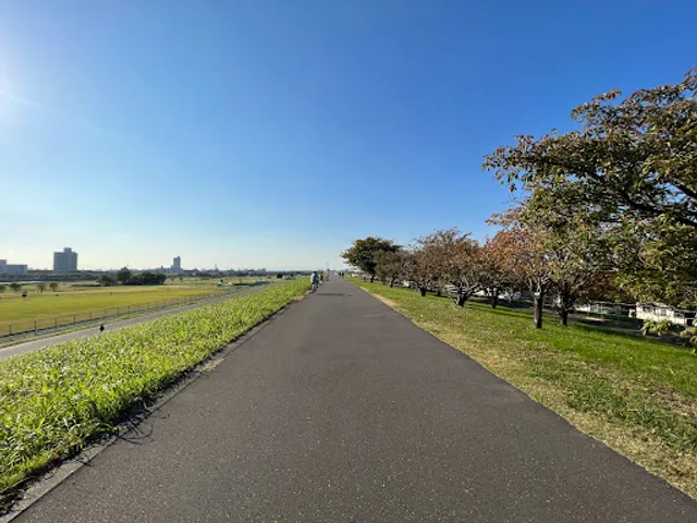 荒川運動公園桜堤