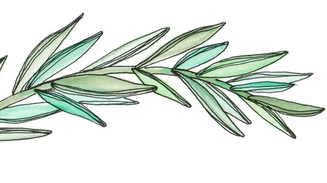 Olive Grace Collective - Lake Geneva