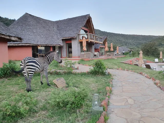 Spirit of the Masai Mara