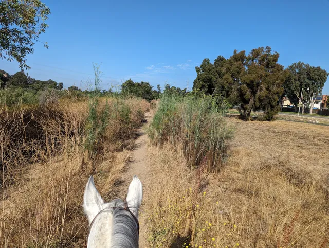 Ortega Equestrian Center