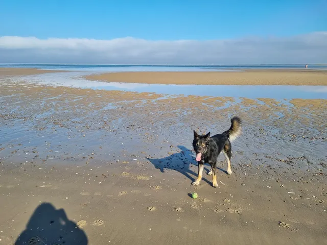 East Beach Nairn