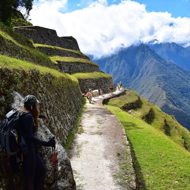Inca Trail to Machu Picchu
