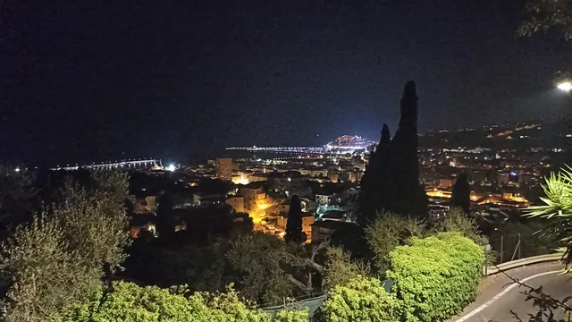 I 99 olivi - Antico Casale