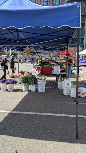 Divisadero Farmers' Market