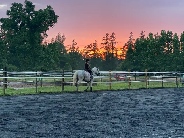 Flying Colors Riding