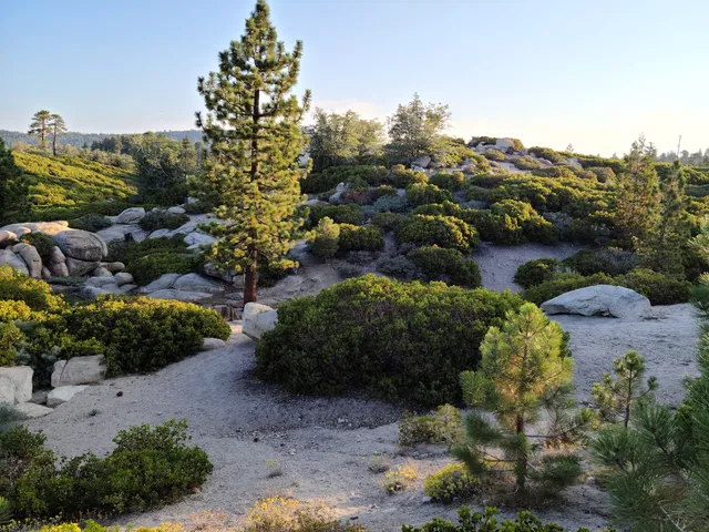 Children's Forest Trailhead