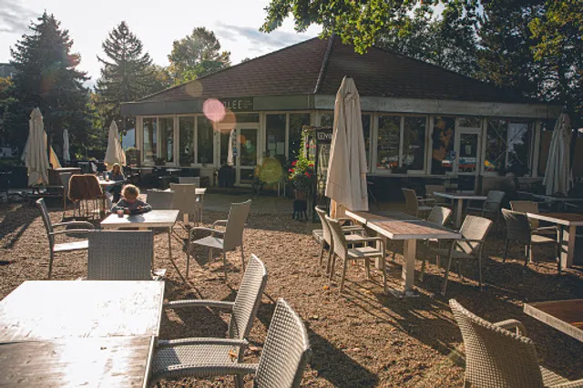 VOLEE - Club • Cafe • Restaurant