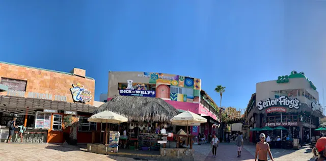 Señor Frogs "Fun, Food and Clothes"