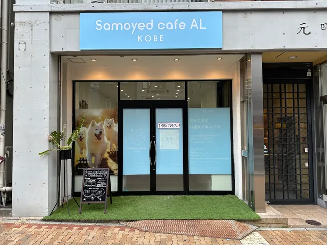 サモエドカフェ アル 神戸店