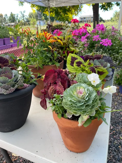 Suárez Wines and Market LLC