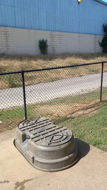 Jackson Downtown Dog Walk