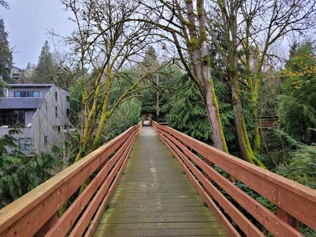 Valley of the Gnomes