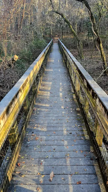Lake Jackson Mounds Archaeological State Park