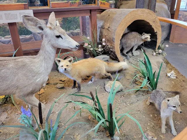 Nature Center - Irvine Regional Park