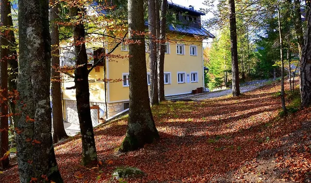 Sobe Barovc pri jezeru Jasna