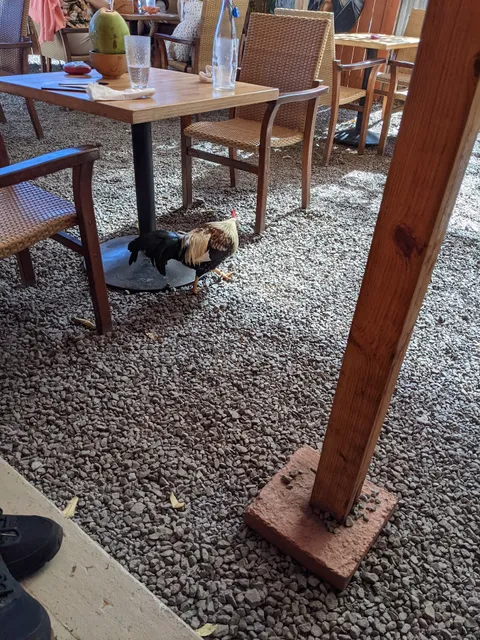 Paia Fruit and Farm Stand