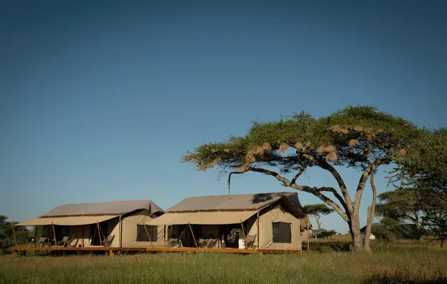 Siringit Serengeti Camp