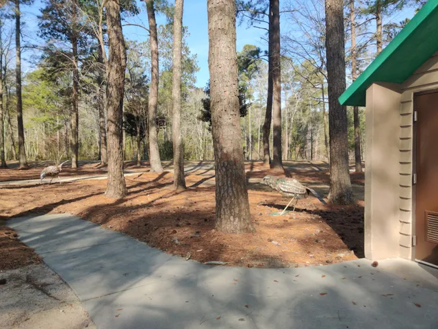 Lions Den Disc Golf Course