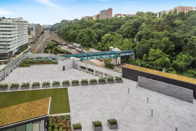 Envue, Autograph Collection