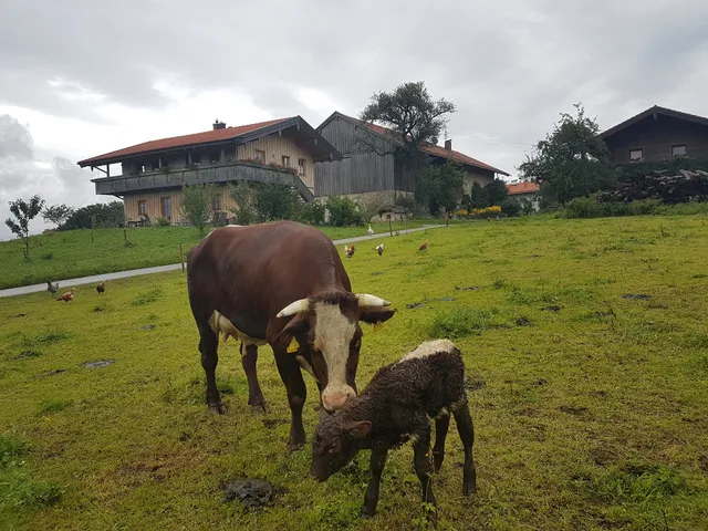 Rieplhof Ferienwohnungen
