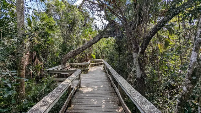 Mahogany Hammock Trailhead