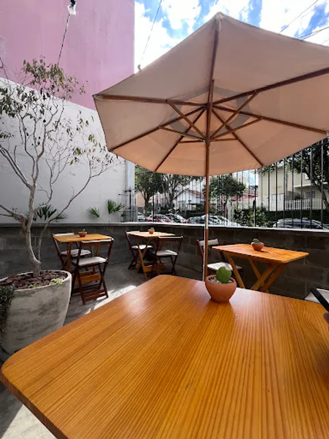 Rango de Planta - Comida Vegana