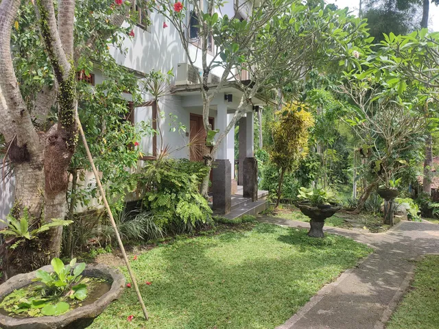Nyoman Homestay Ubud