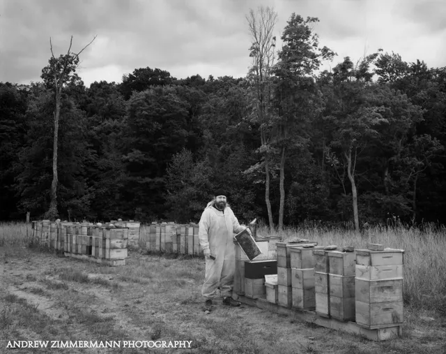 Mount Pleasant Township