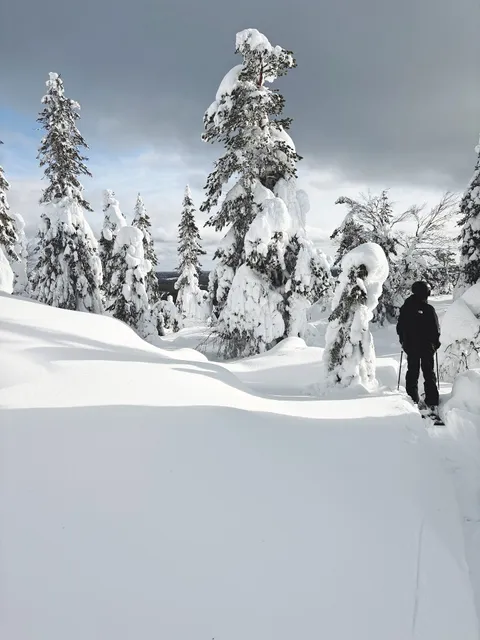 Ski Center Pikku-Syöte