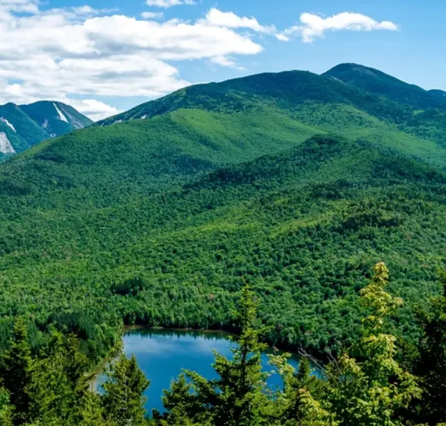 Living Spring Water LLC